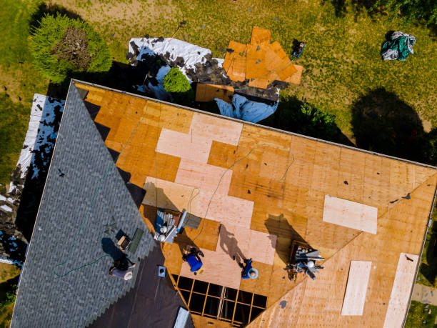 Best Roof Gutter Cleaning  in Clinton, IA