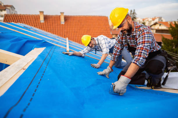 Best Roof Repair Services  in Clinton, IA