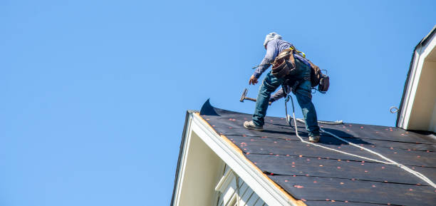 Best Roof Waterproofing Services  in Clinton, IA